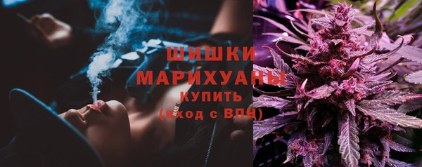 метадон Снежногорск